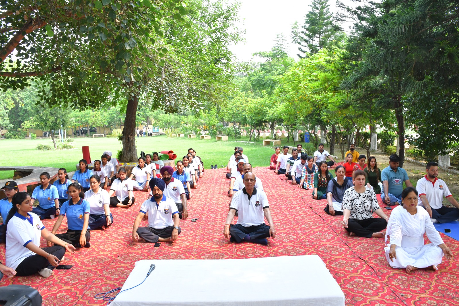 NSS International Yoga Day 