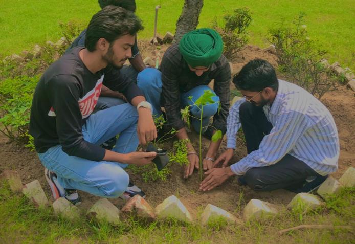 Tree Plantation Day