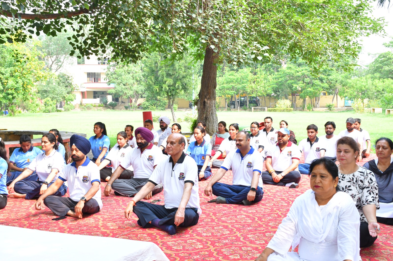 NSS International Yoga Day 